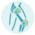 Icos-Homepage_Knie