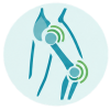 Icos-Homepage_Knie